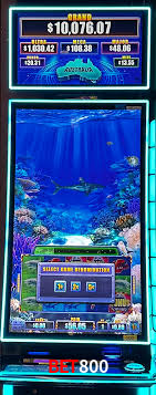 Blackjack Table bet800