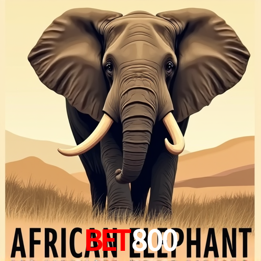 Game Providers bet800