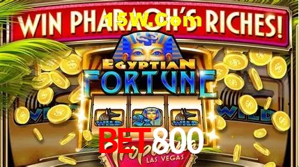 bet800 Plataforma - Certificada MGA desde 2015