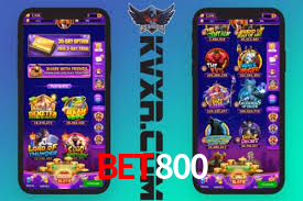 Statistics bet800
