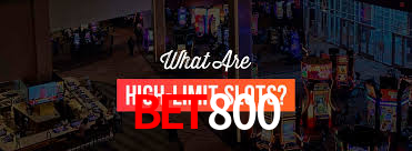 bet800 App Interface