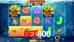bet800