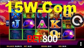bet800 login